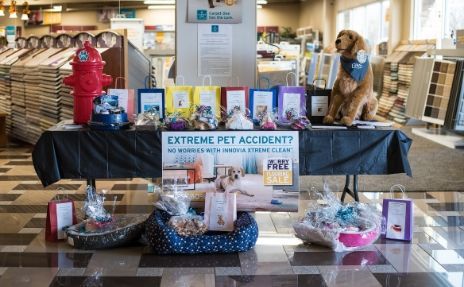 Pet-friendly flooring display at Pioneer Carpet One